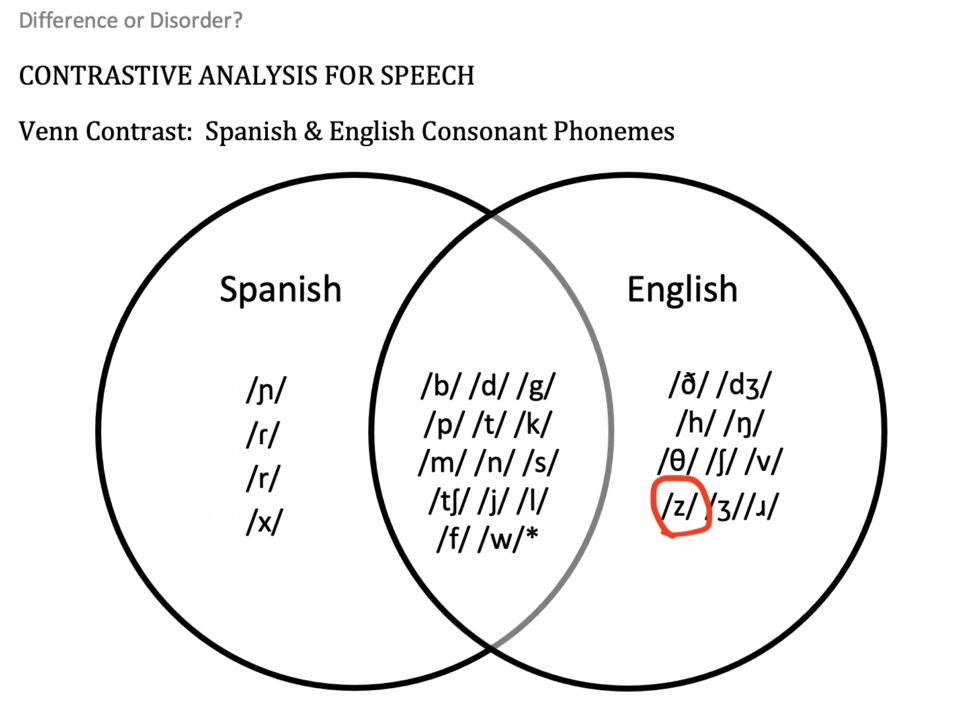 Is It Okay To Target Cross Linguistic Influence Patterns In Speech Therapy