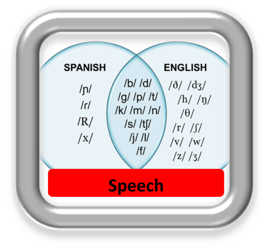 Difference Or Disorder Speech Development In English Language Learners Bilinguistics