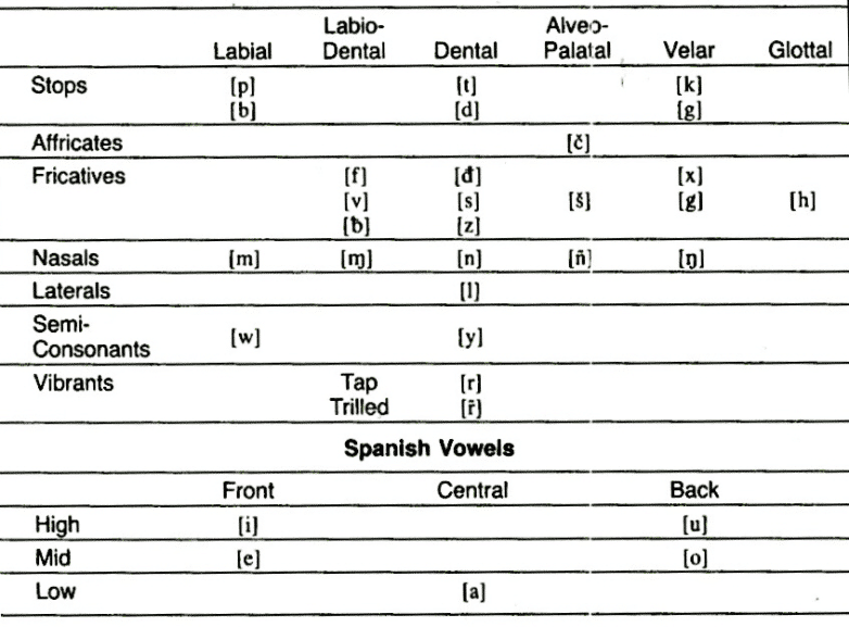 Speech Development in Spanish and English - What the differences mean ...