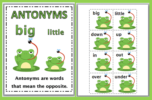 Synonyms and Antonyms: Vocabulary & Literacy Development