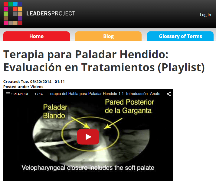 Cleft Palate Information in Spanish