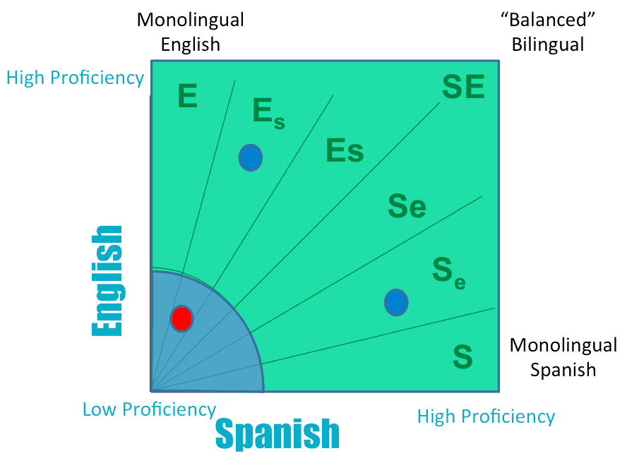 Testing Bilingual Children in Both Languages