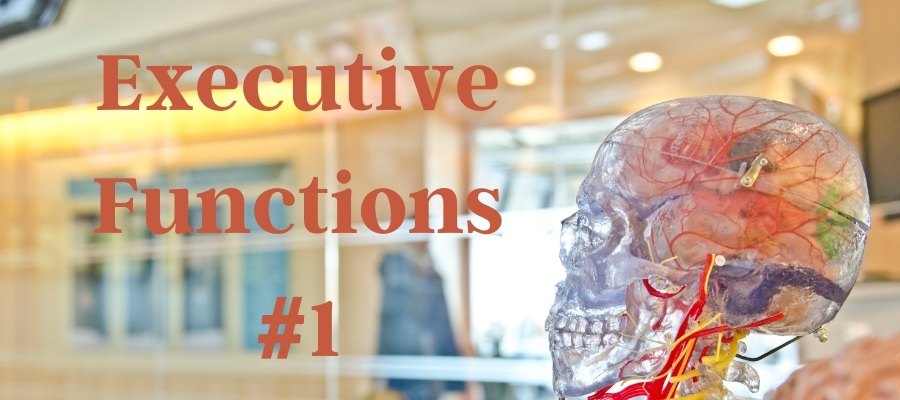 Executive Functions #1