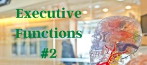 Executive Functions #2