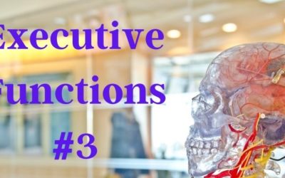 9 Ways Executive Function Affects Learning