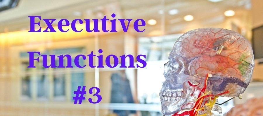 Executive functions #3