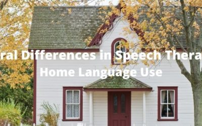 Cultural Differences in Speech Therapy #6