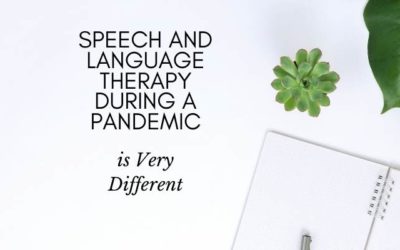 Speech and Language Therapy During a Pandemic