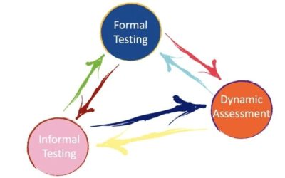 Dynamic Assessment Examples