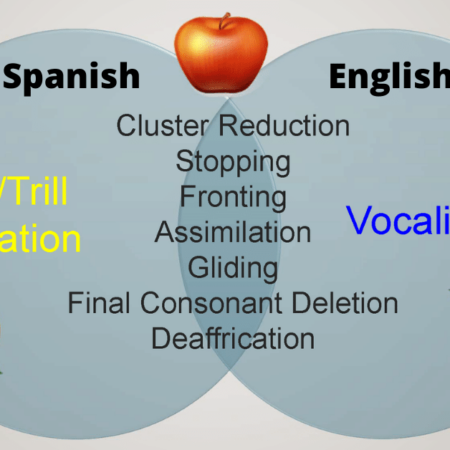 Phonological Processes in Spanish-English Bilingual Children