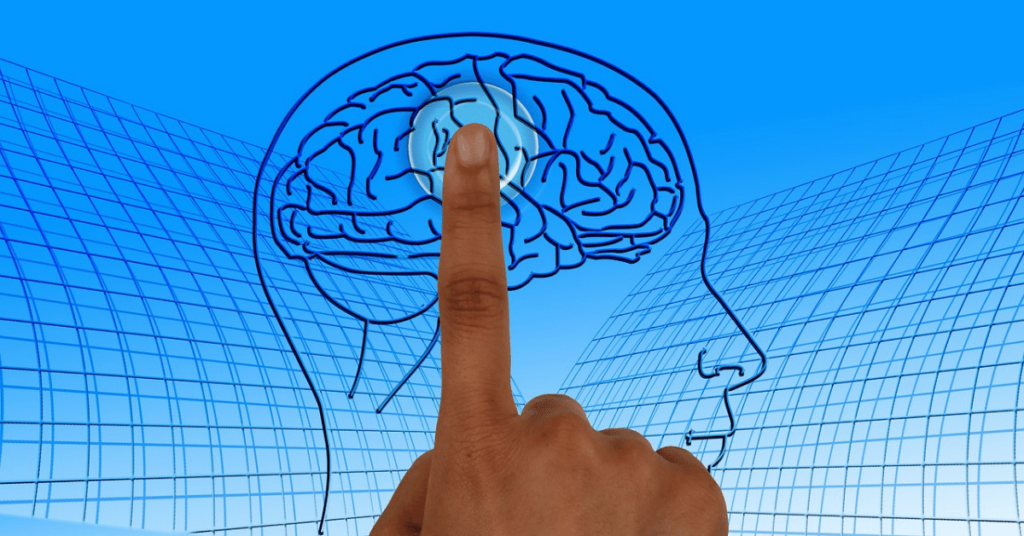 Executive Function 101: Speech Therapy, Evaluations, and Classroom Support