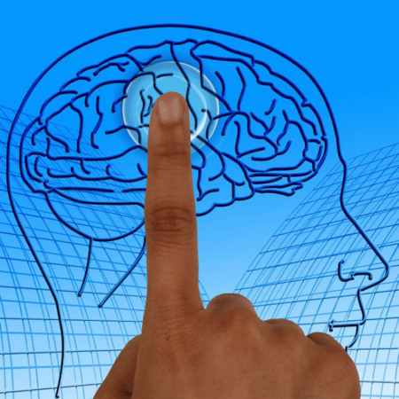 Executive Function 101: Speech Therapy, Evaluations, and Classroom Support