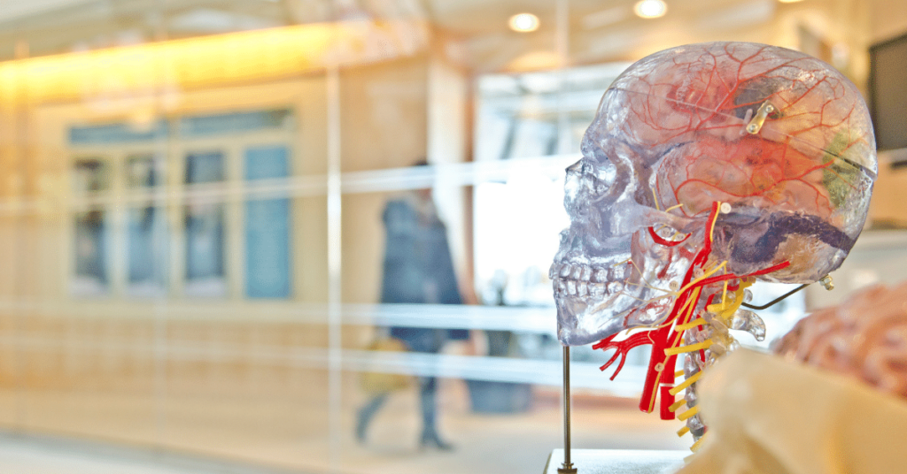 Executive Function 201: Increasing Client Motivation and Self-Direction
