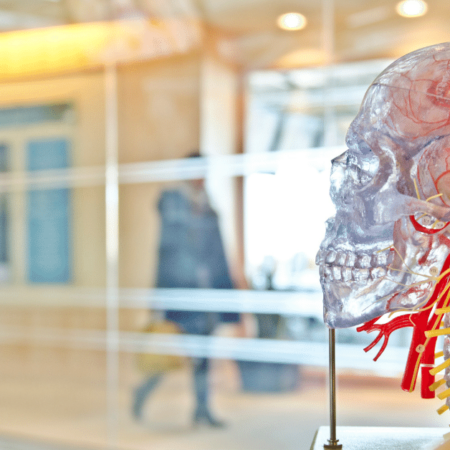Executive Function 201: Increasing Client Motivation and Self-Direction