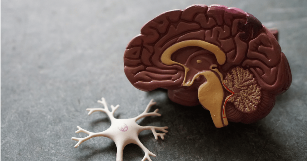 Executive Function 301: Cognitive Processes and Changes Across Adolescence