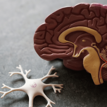 Executive Function 301: Cognitive Processes and Changes Across Adolescence