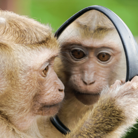How Ethics and Biases Shape Our Decisions: A Fun Look at Research on Heuristics