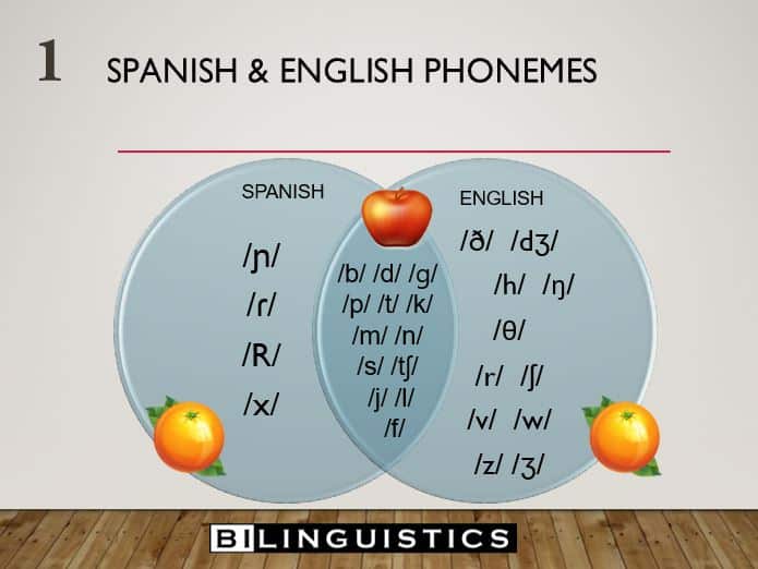 Spanish and English phonemes