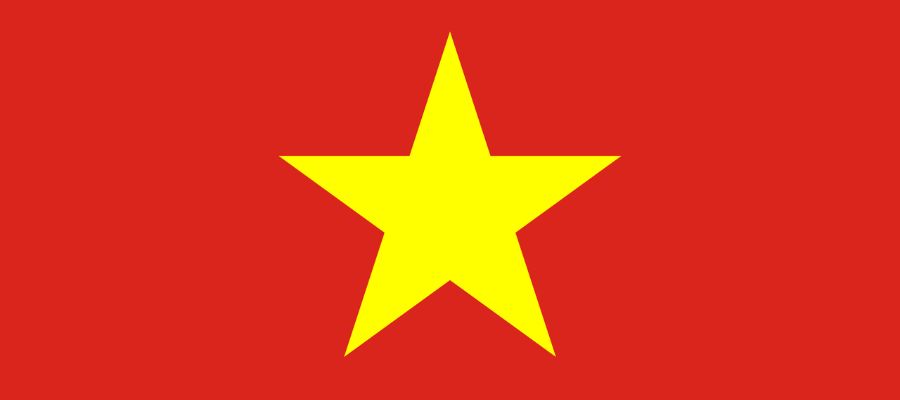 Vietnamese Speech and Language Development flag