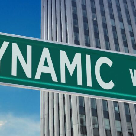 Interactive Bilingual Dynamic Assessment Case Studies