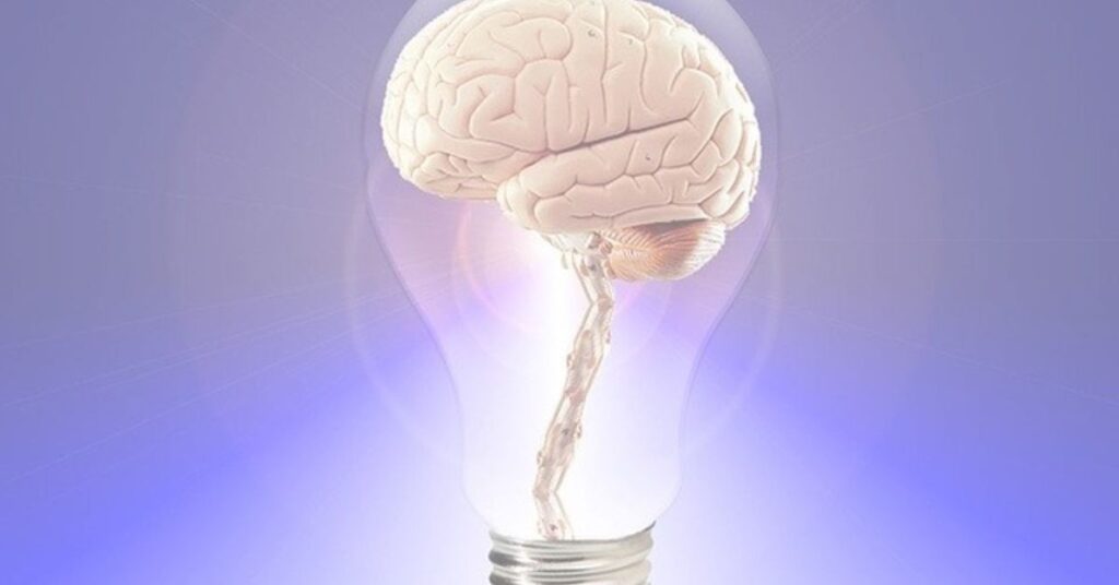 A Brain-Based Approach to Increase Success and Satisfaction in Your Work Life