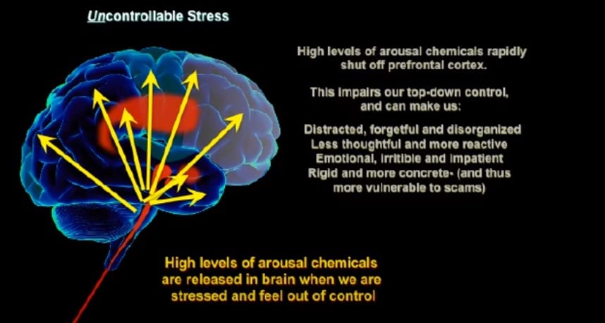Burnout Is Not Weakness: What Chronic Cognitive Strain Does to SLPs 3 arousal checmicals